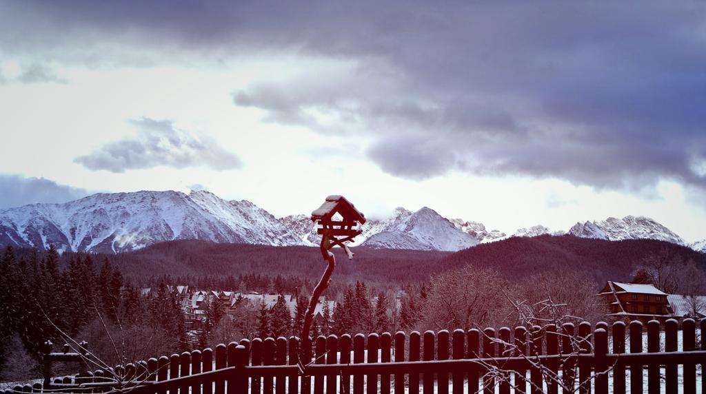 Zwijaczowka Bed & Breakfast Zakopane Exterior foto