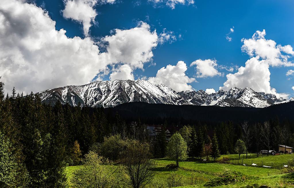 Zwijaczowka Bed & Breakfast Zakopane Exterior foto