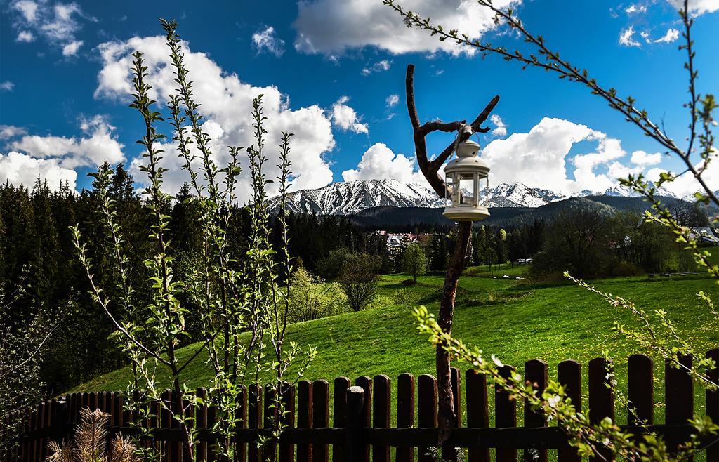 Zwijaczowka Bed & Breakfast Zakopane Exterior foto
